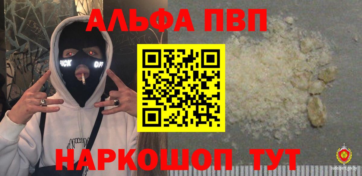 A PVP СК КРИС Алатырь