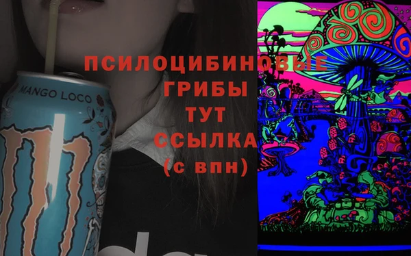 стаф Медвежьегорск