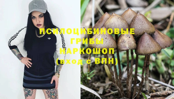 наркотики Михайловка