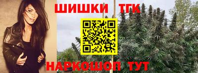 гашик Абакан