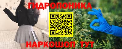 гашик Абакан