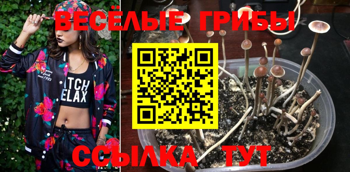 Псилоцибиновые грибы мухоморы Алатырь