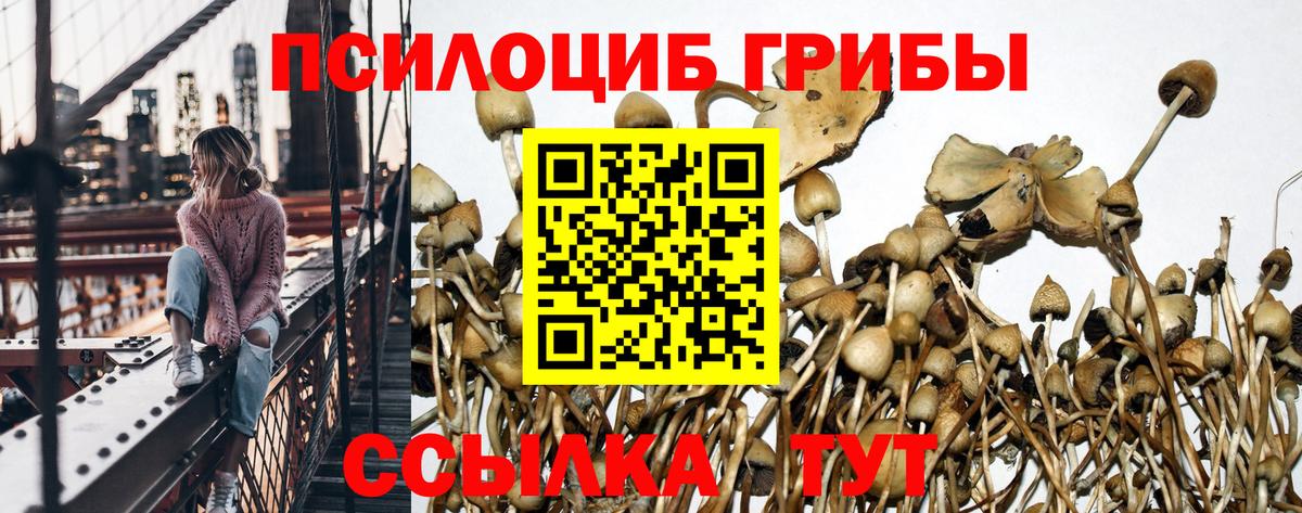 Псилоцибиновые грибы GOLDEN TEACHER Алатырь