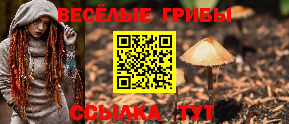 Псилоцибиновые грибы Psilocybe  Алатырь 