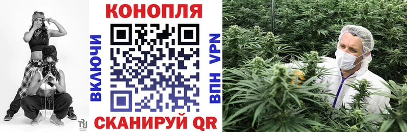 где купить наркоту  Алатырь  Марихуана план 