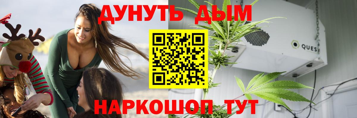 Шишки марихуана сатива  Шишки марихуана White Widow  Каннабис планчик  Алатырь  Вход с VPN  Шишки марихуана OG Kush 