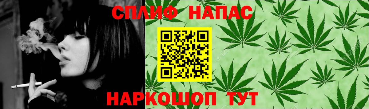 Канабис OG Kush Алатырь